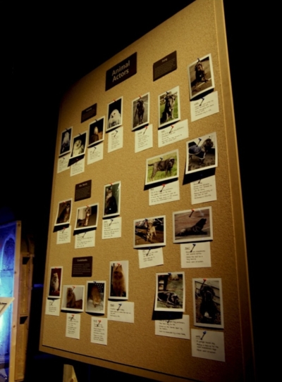 Harry Potter Studio