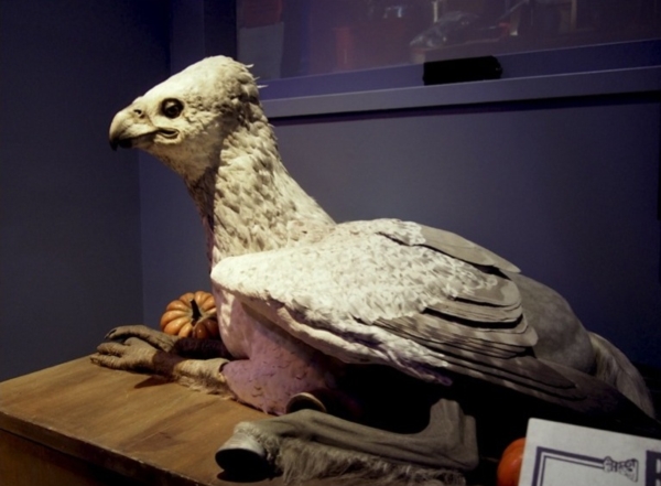 Harry Potter Studio