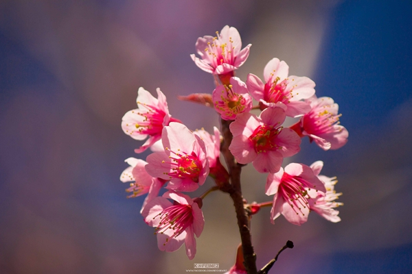 ภูลมโล ภูลมโล