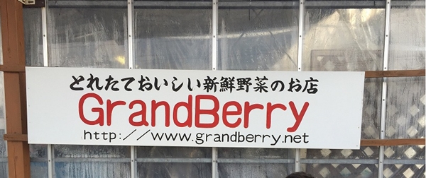 GrandBerry Osaka GrandBerry Osaka