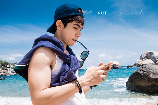 เกาะเต่า