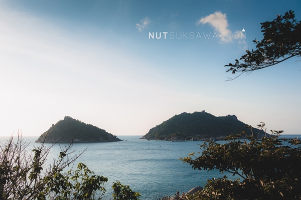เกาะเต่า