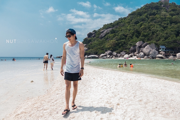เกาะเต่า