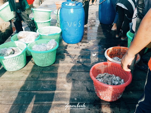 เที่ยวภาคใต้ เที่ยวภาคใต้