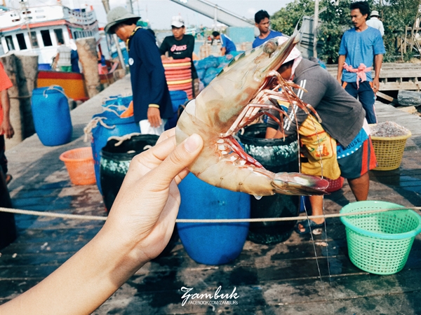 เที่ยวภาคใต้ เที่ยวภาคใต้