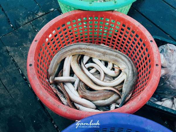 เที่ยวภาคใต้ เที่ยวภาคใต้