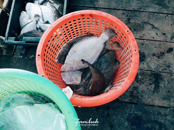 เที่ยวภาคใต้ เที่ยวภาคใต้