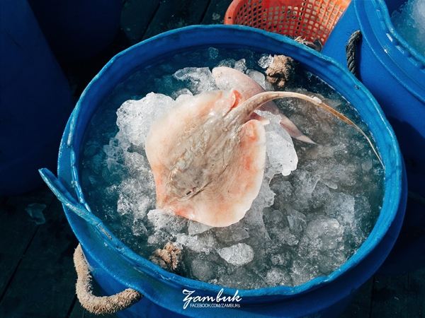 เที่ยวภาคใต้ เที่ยวภาคใต้