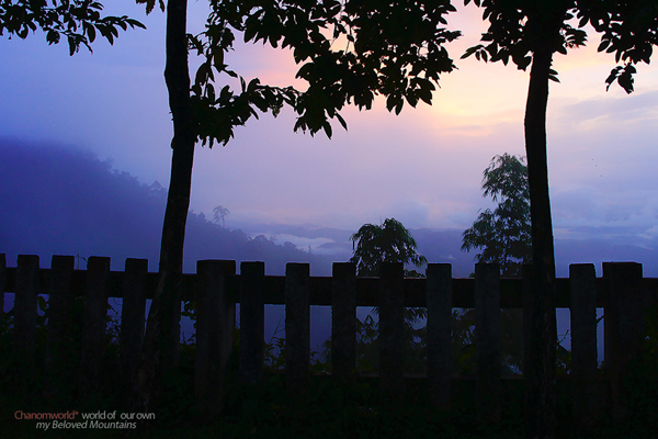 ทองผาภูมิ 