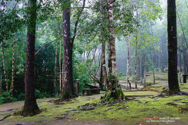 ทองผาภูมิ