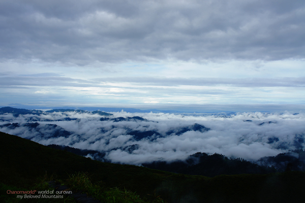 ทองผาภูมิ