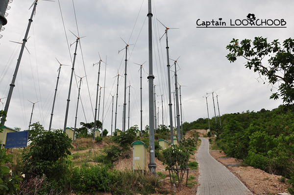 เกาะล้าน