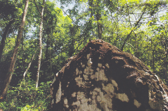 ตาพระยา