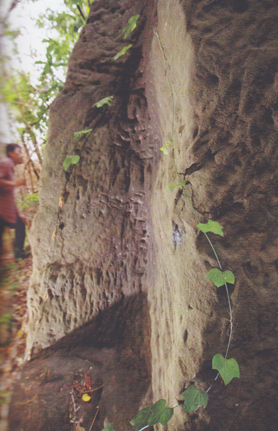 ตาพระยา