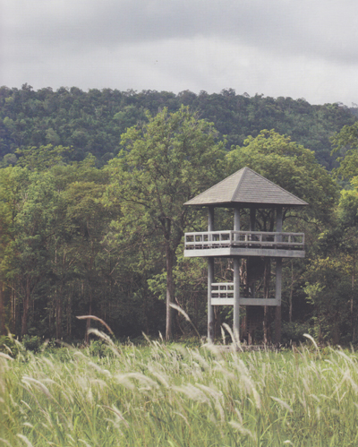 ตาพระยา