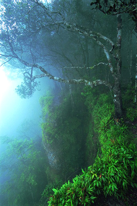 ผาเดียวดาย