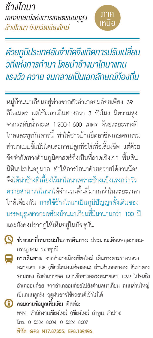  ช้างไถนา
