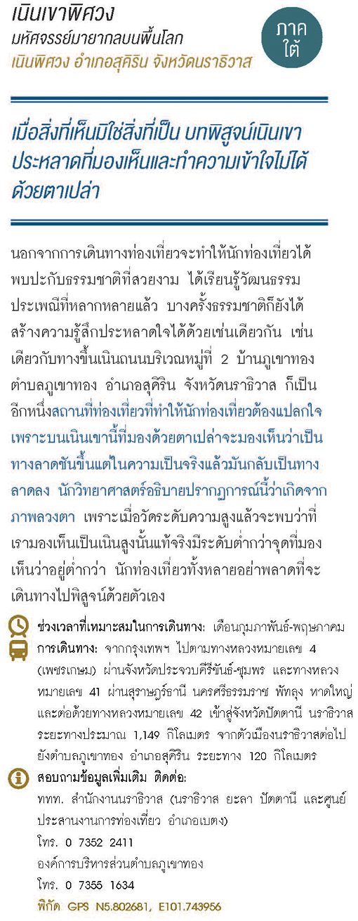 เนินเขาพิศวง