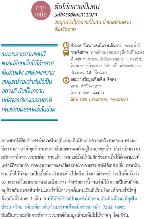ต้นไม้กลายเป็นหิน