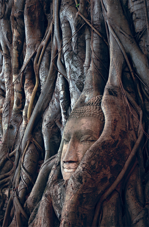 วัดมหาธาตุ