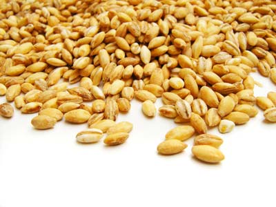 เคล็ดลับการเลือกอาหารว่างที่มีคุณค่าต่อร่างกาย