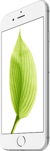 iPhone 6