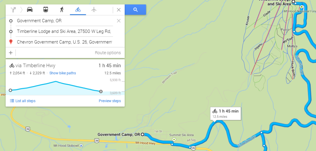 Google Maps