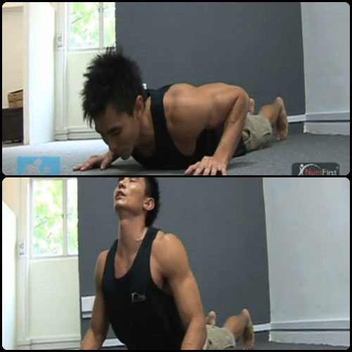 หน้าท้อง