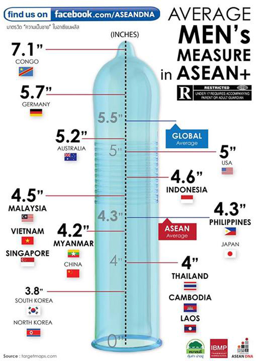 ขนาดอวัยวเพศชายไทย