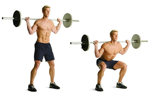 Barbell Squat