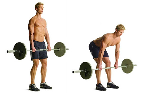 Barbell Straight-leg Deadlift