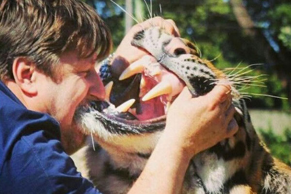 เลี้ยงเสือไว้ในบ้าน