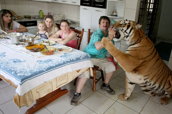 เลี้ยงเสือไว้ในบ้าน