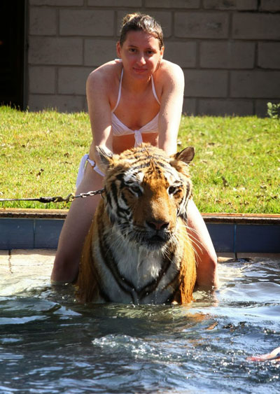 เลี้ยงเสือไว้ในบ้าน