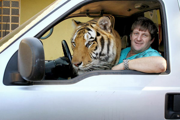 เลี้ยงเสือไว้ในบ้าน