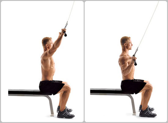 Shoulder Width Overhand Pull Downs