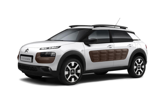 C4 Cactus