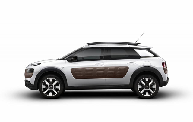 C4 Cactus