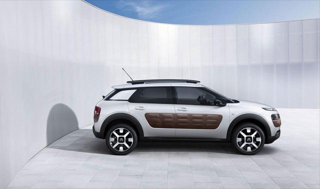 C4 Cactus