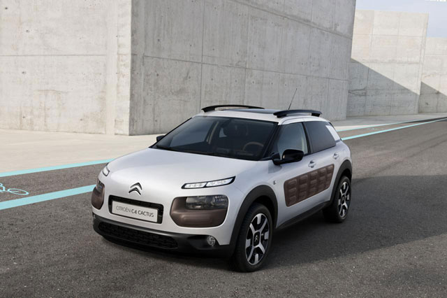 C4 Cactus