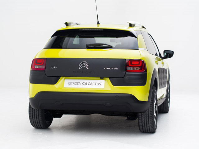 C4 Cactus