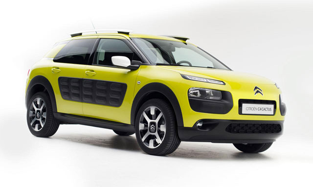 C4 Cactus