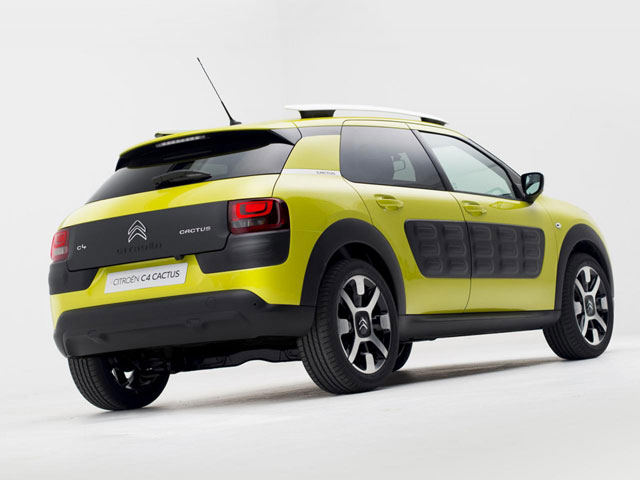 C4 Cactus