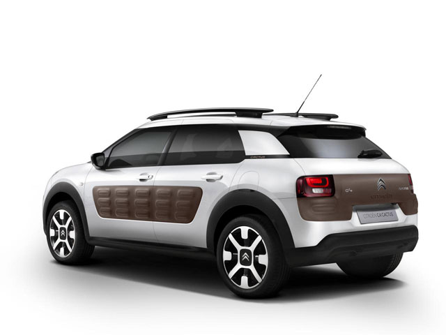 C4 Cactus