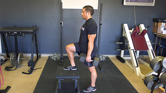 Dumbbell Step Up