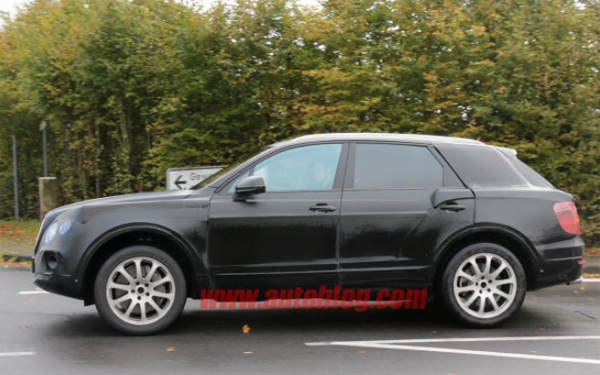 Bentley SUV