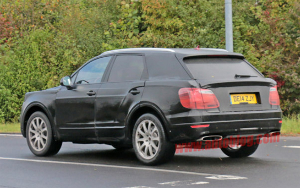 Bentley SUV