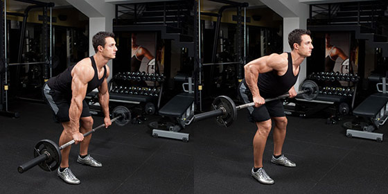 Barbell Bent Over Row