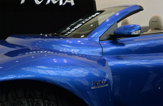 Youabian Puma