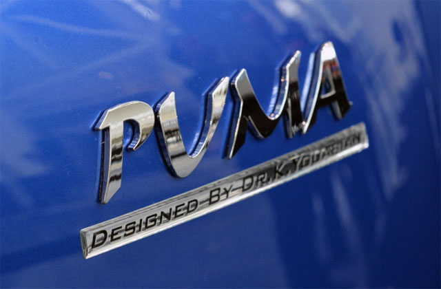 Youabian Puma